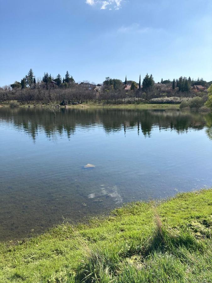 Los Cedros, Gran Chalet Con Piscina Y Apartamento En Navacerrada Exterior foto