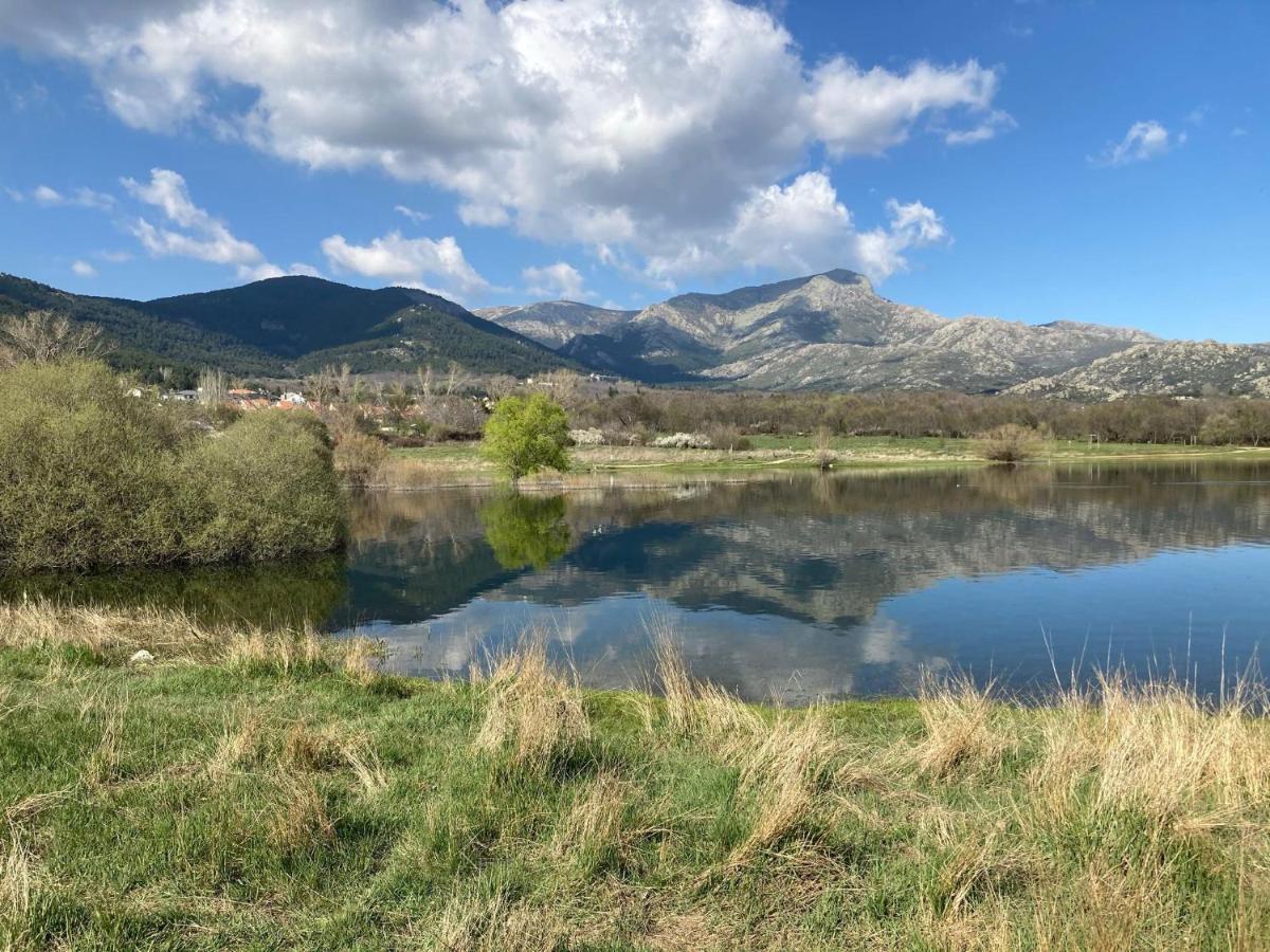 Los Cedros, Gran Chalet Con Piscina Y Apartamento En Navacerrada Exterior foto