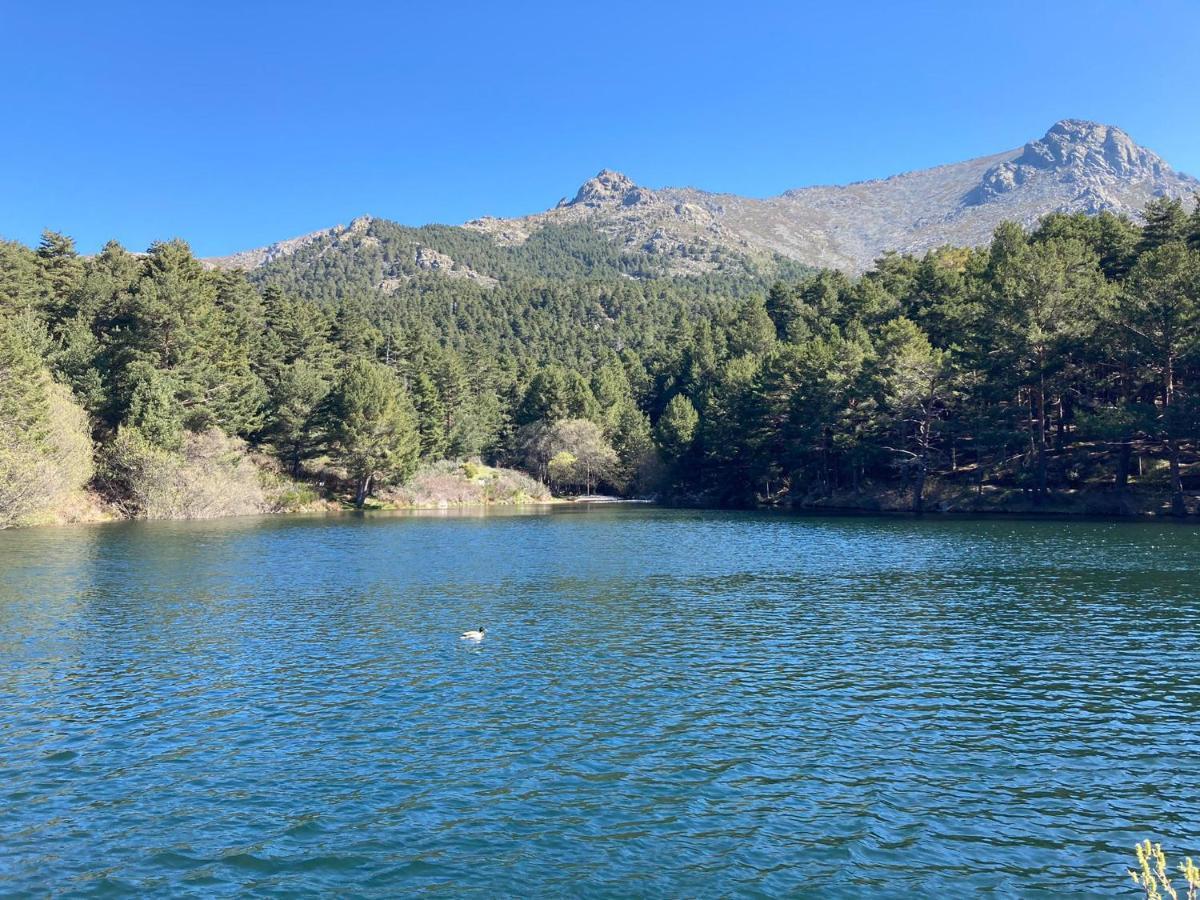 Villa Los Cedros, Gran Chalet Con Piscina Y Apartamento En Navacerrada Exterior foto